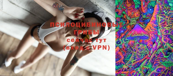 стаф Аркадак