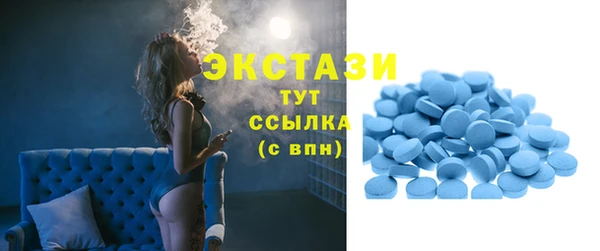 стаф Аркадак