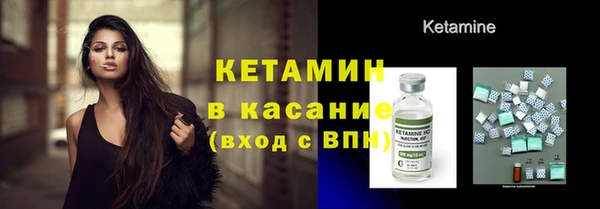 стаф Арсеньев