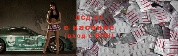стаф Аркадак